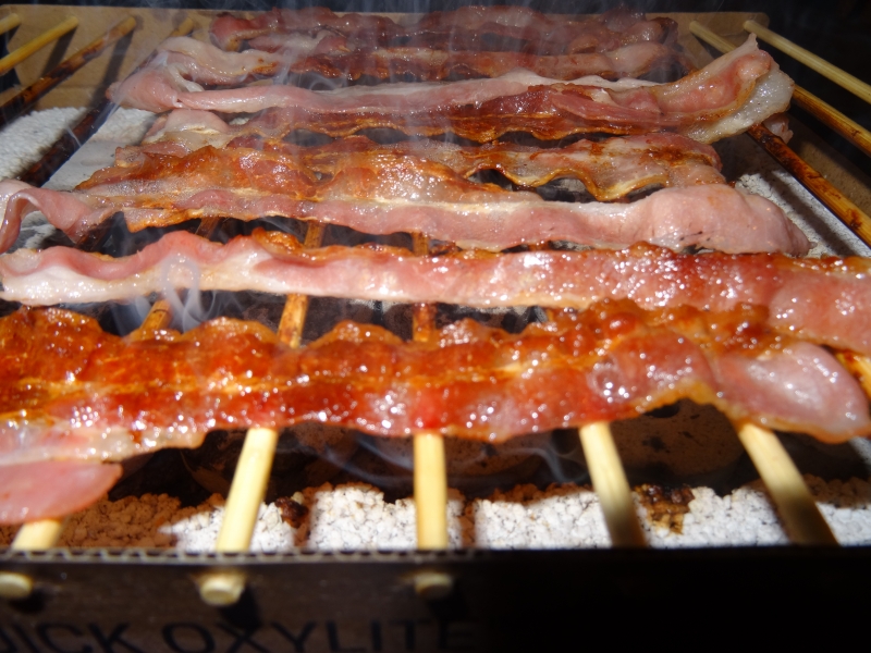Casus Grill -Die absolute Weltneuheit-