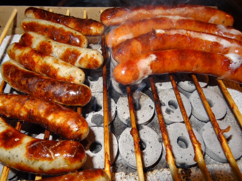 Casus Grill -Die absolute Weltneuheit-