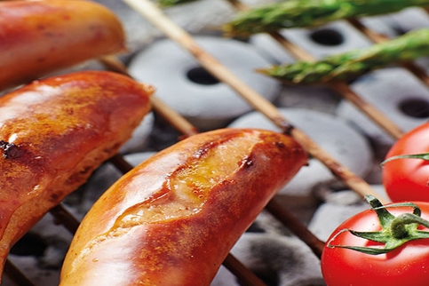 Casus Grill -Die absolute Weltneuheit-